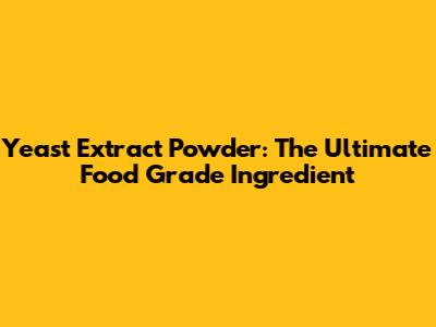 Yeast Extract Powder: The Ultimate Food Grade Ingredient